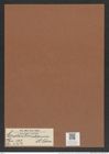 Cerataulus californicus A. Schm. (de-Toni-Nr.: Genus 173, Species 4452) Zeichnungen Sammlung Grunow Mappe 04377 (Herbarium_W_Grunow_drawings_Folder_04377)
